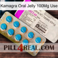 Kamagra Oral Jelly 100Mg Use new07